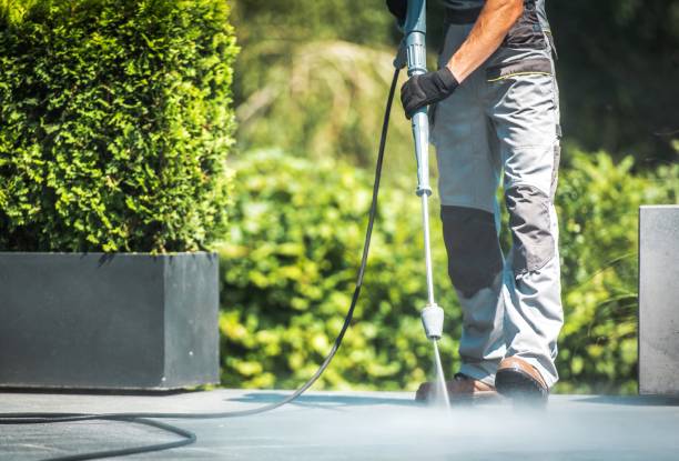 Animal Enclosure Cleaning in Wasilla, AK