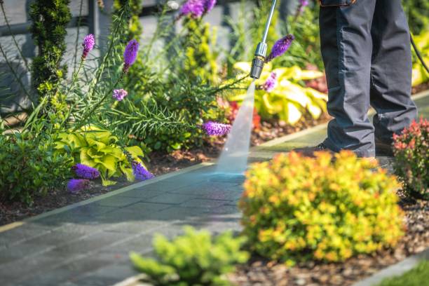 Best Patio and Deck Pressure Washing  in Wasilla, AK