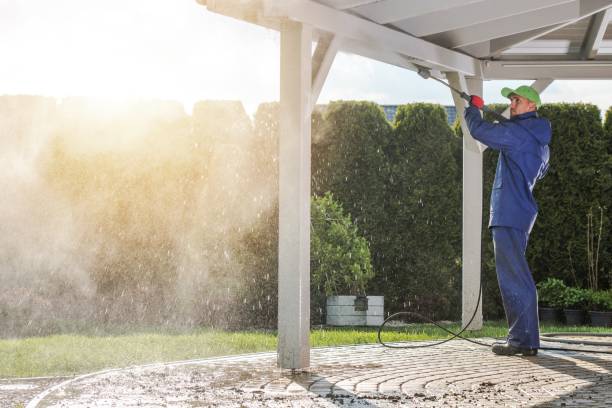 Best House Exterior Washing  in Wasilla, AK
