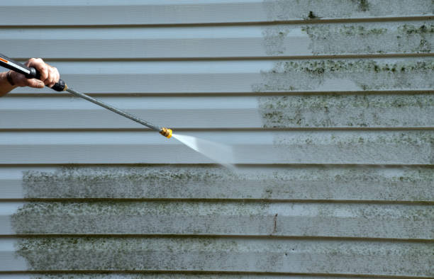 Best Roof Washing  in Wasilla, AK